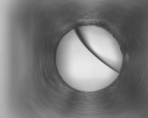 X0000080131300200612302025