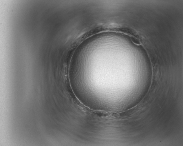 X0000080131301200612302025