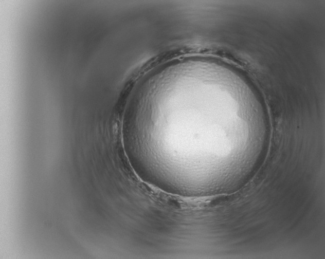 X0000080131302200612302025