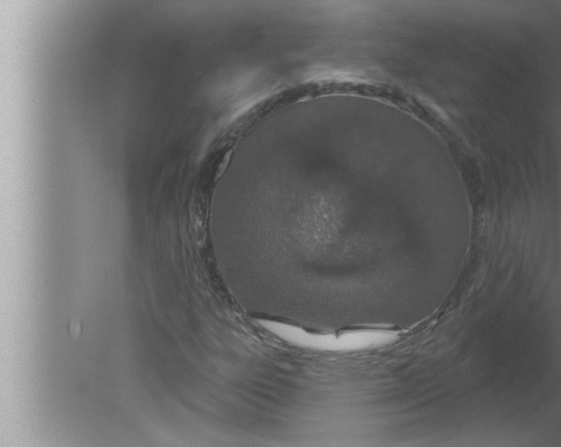 X0000080131303200612302025