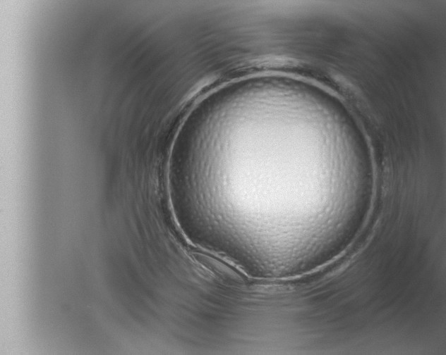 X0000080131305200612302026