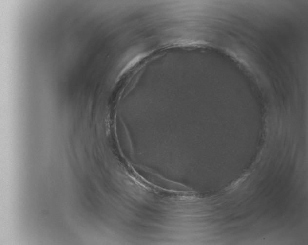 X0000080131306200612302026