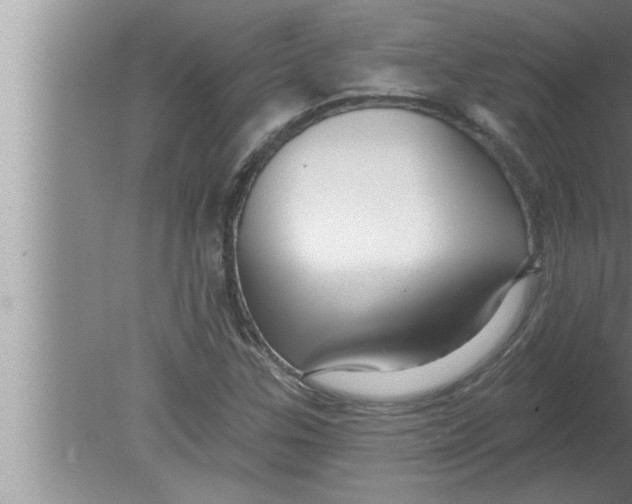 X0000080131307200612302026