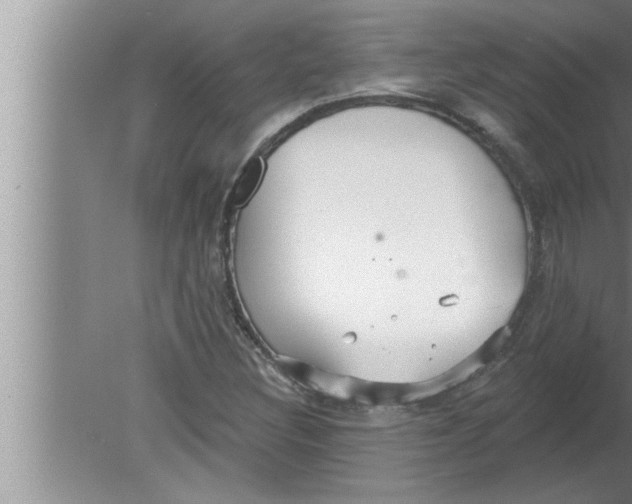 X0000080131308200612302026