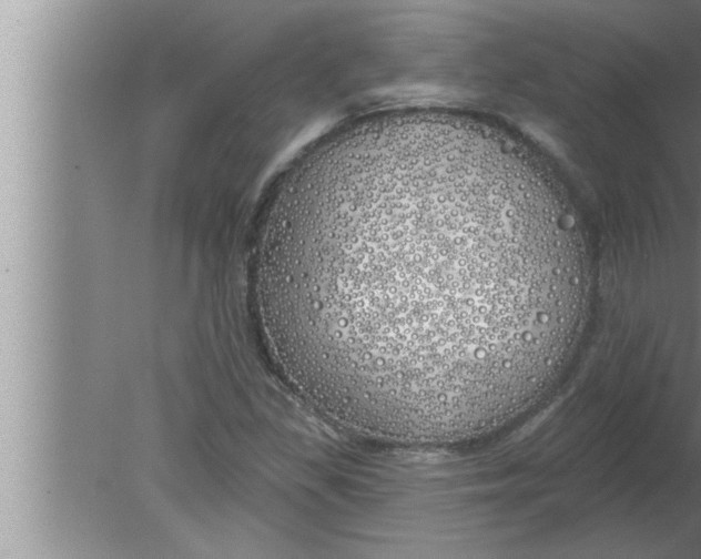 X0000080131309200612302026