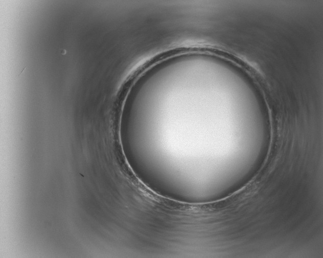 X0000080131311200612302026