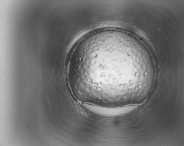 X0000080131312200612302026