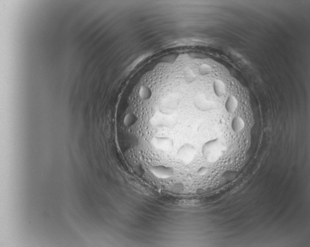 X0000080131313200612302026