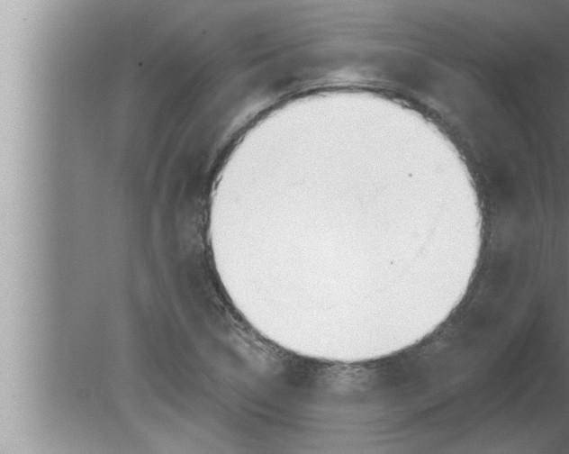 X0000080131314200612302026