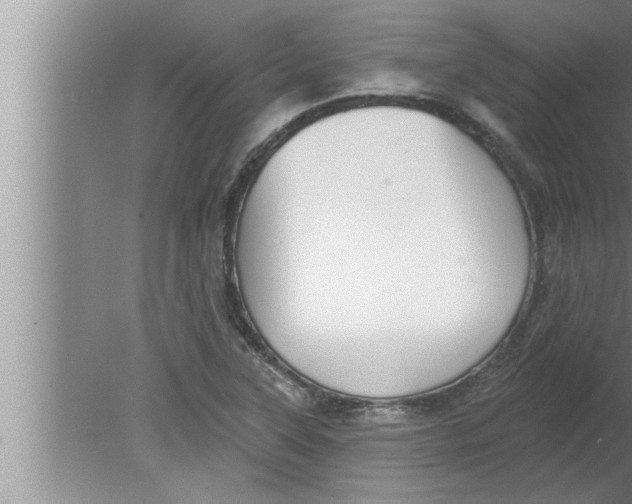 X0000080131315200612302026