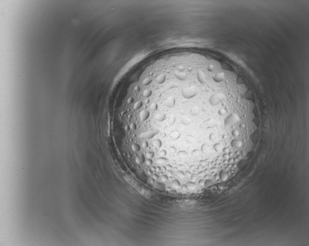 X0000080131317200612302026