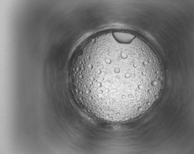 X0000080131318200612302026