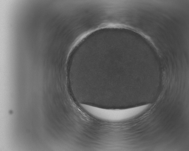 X0000080131319200612302026