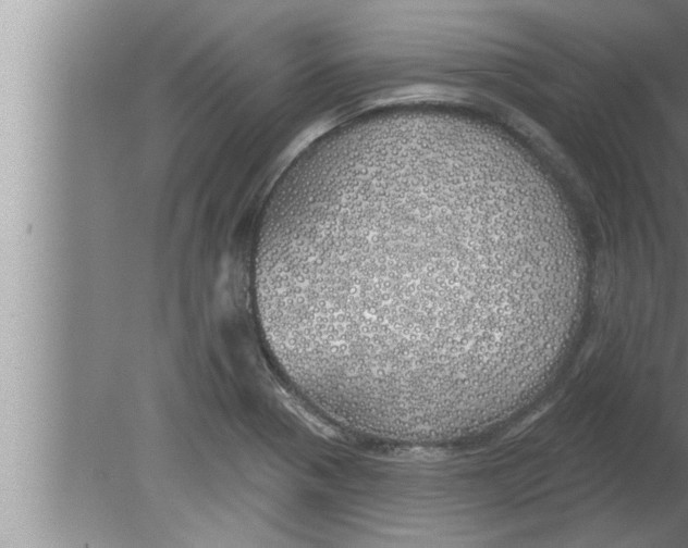 X0000080131321200612302026