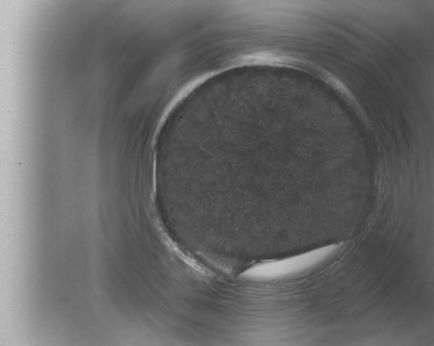 X0000080131323200612302026