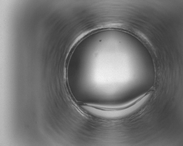 X0000080131324200612302026