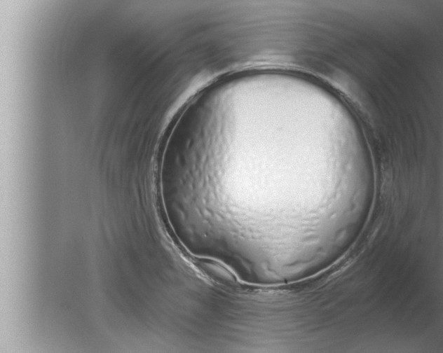 X0000080131325200612302026