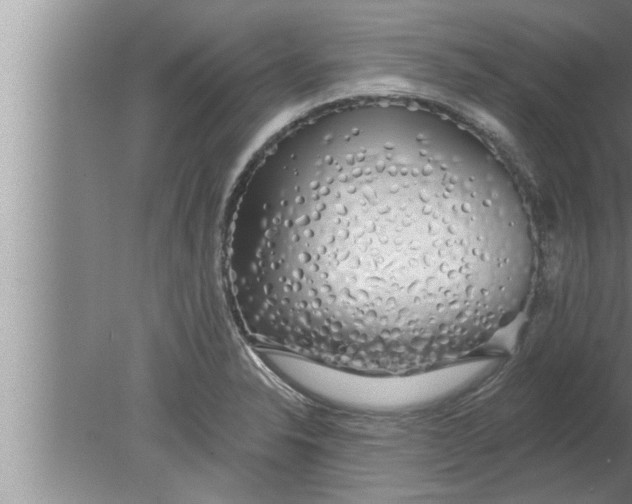 X0000080131326200612302026