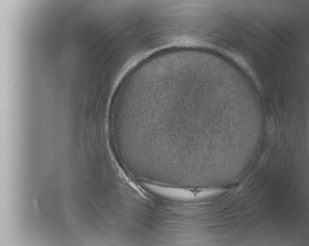 X0000080131327200612302026