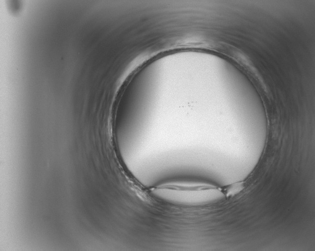 X0000080131328200612302026