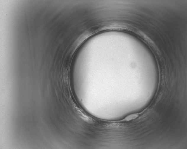 X0000080131329200612302026