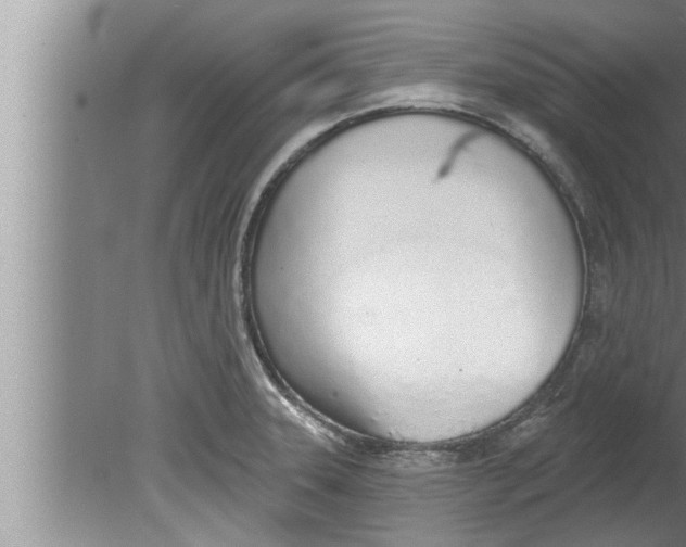 X0000080131331200612302026