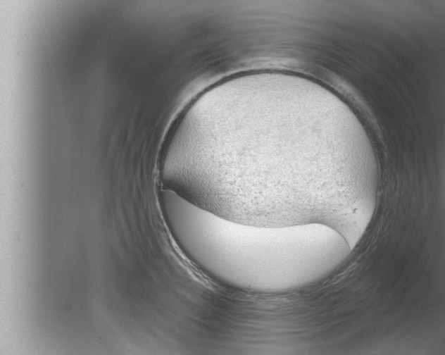 X0000080131332200612302026