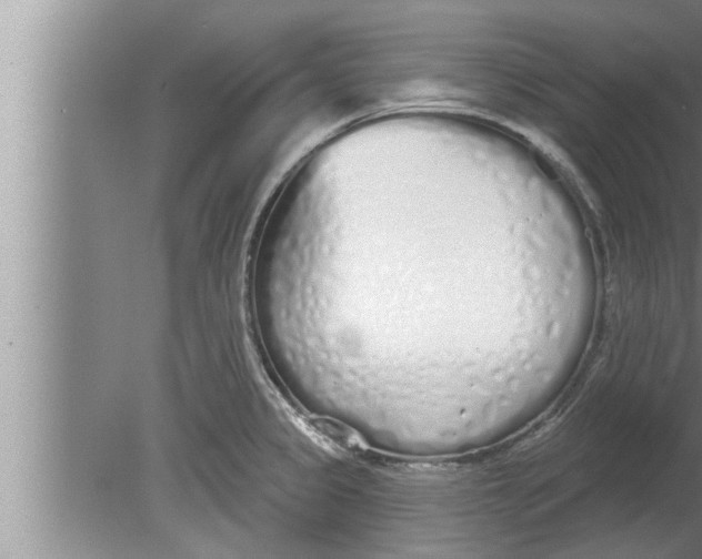 X0000080131333200612302026