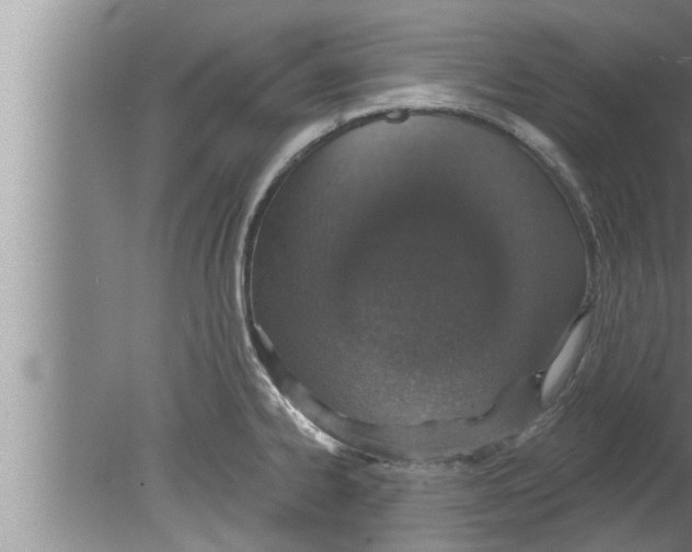 X0000080131334200612302026