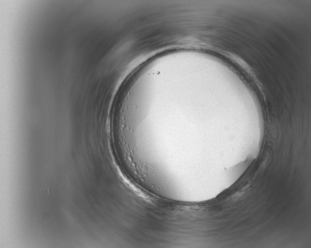 X0000080131335200612302026