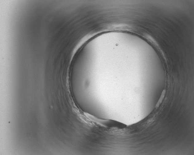 X0000080131336200612302026