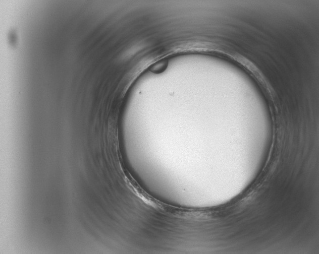 X0000080131337200612302026