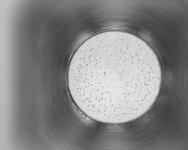 X0000080131338200612302026