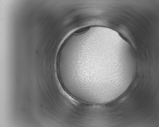 X0000080131339200612302026