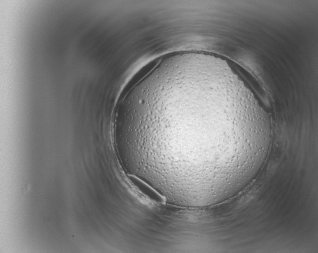 X0000080131340200612302026