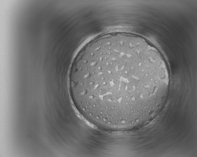 X0000080131341200612302026