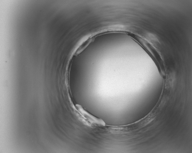 X0000080131342200612302026