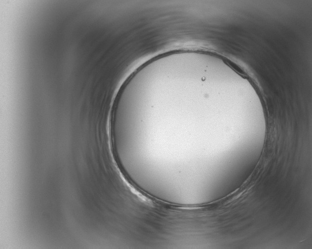 X0000080131343200612302026