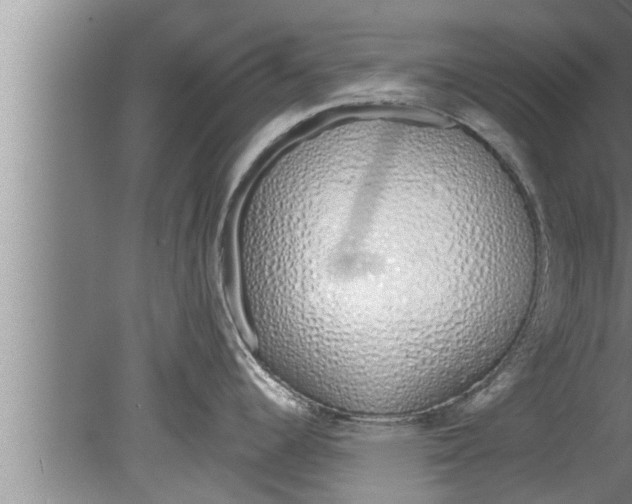 X0000080131344200612302026