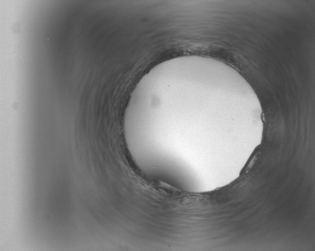 X0000080131345200612302025