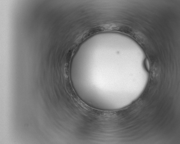 X0000080131346200612302025