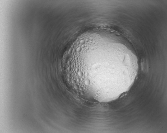 X0000080131347200612302025