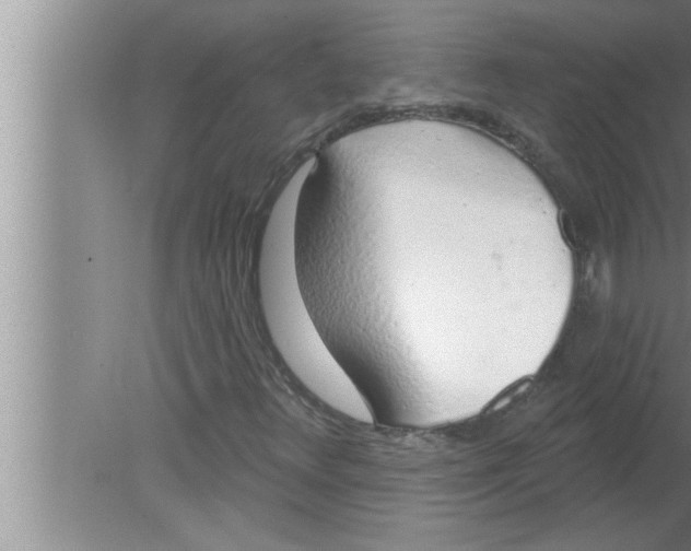 X0000080131348200612302025