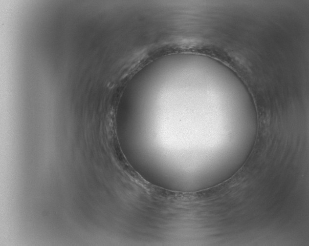 X0000080131349200612302025