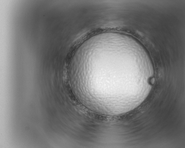 X0000080131350200612302025