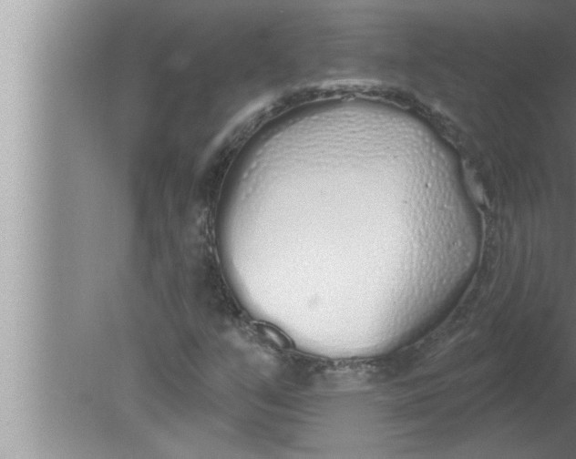 X0000080131351200612302025