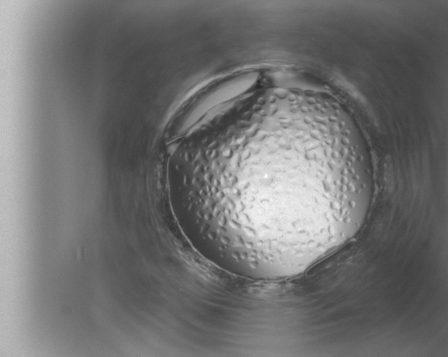 X0000080131352200612302025