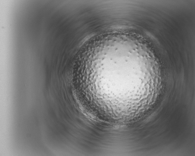 X0000080131353200612302025