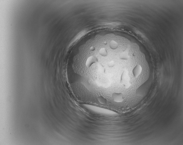 X0000080131354200612302025