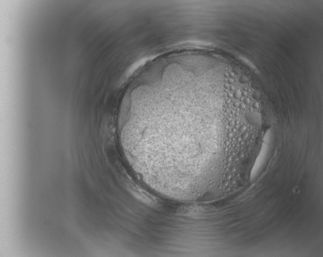 X0000080131355200612302025